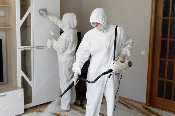 Affordable Sewage Cleanup solutions in Morrow, AR