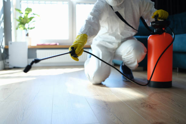 Reliable Sewage Cleanup contractor in Morrow, AR by Trauma Clean Pros